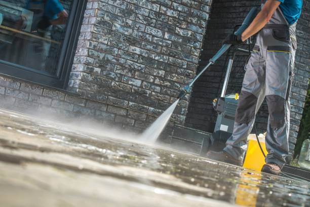 Best Animal Enclosure Cleaning  in Airmont, NY